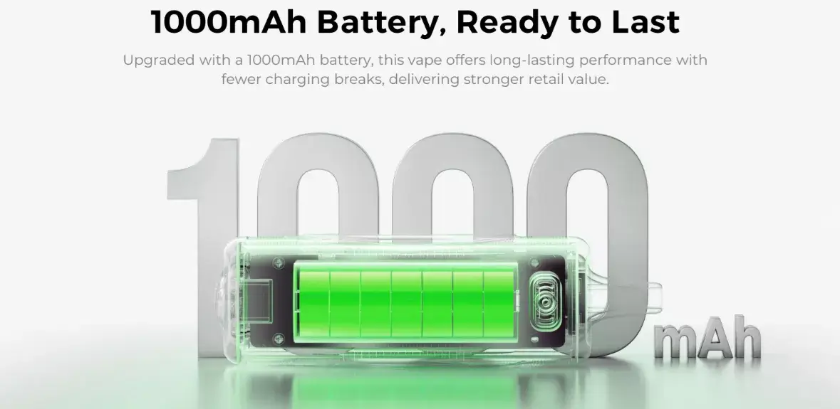 1000 mAh Battery