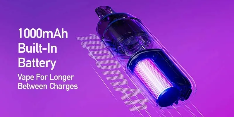 Large Device Battery 1000mAh - Fast Charge