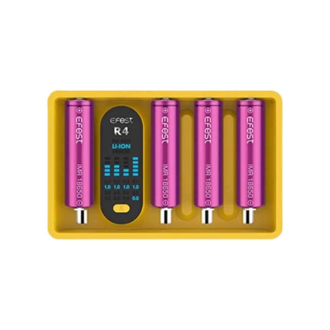 IMATE R4 Battery Charger