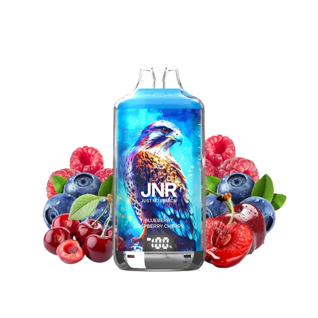JNR Falcon X Plus 28000 Puffs