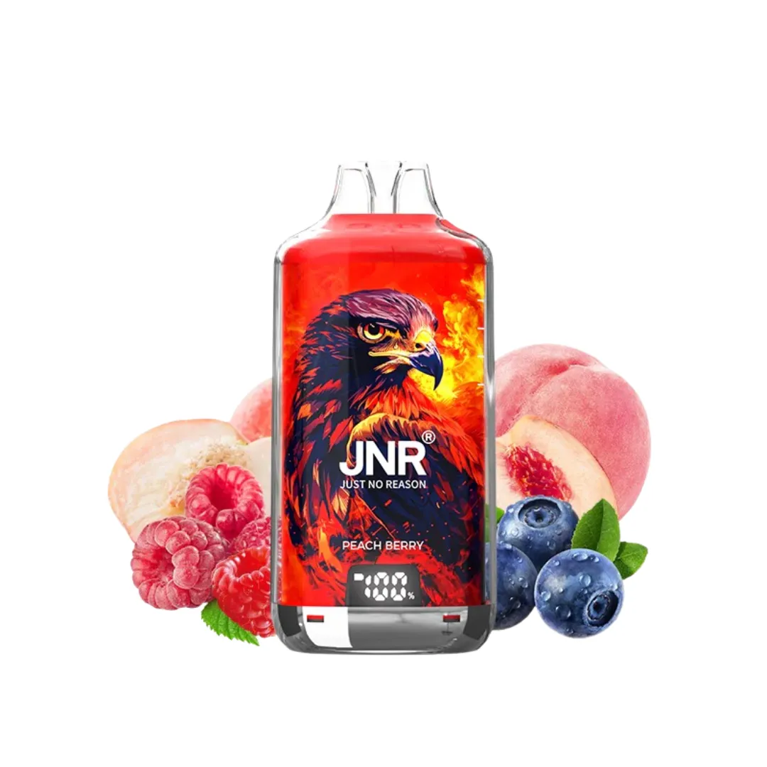 JNR Falcon X Plus 28000 Puffs