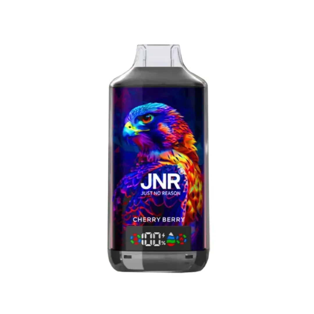 JNR Falcon X 18000 Puffs Prefilled Vape kit