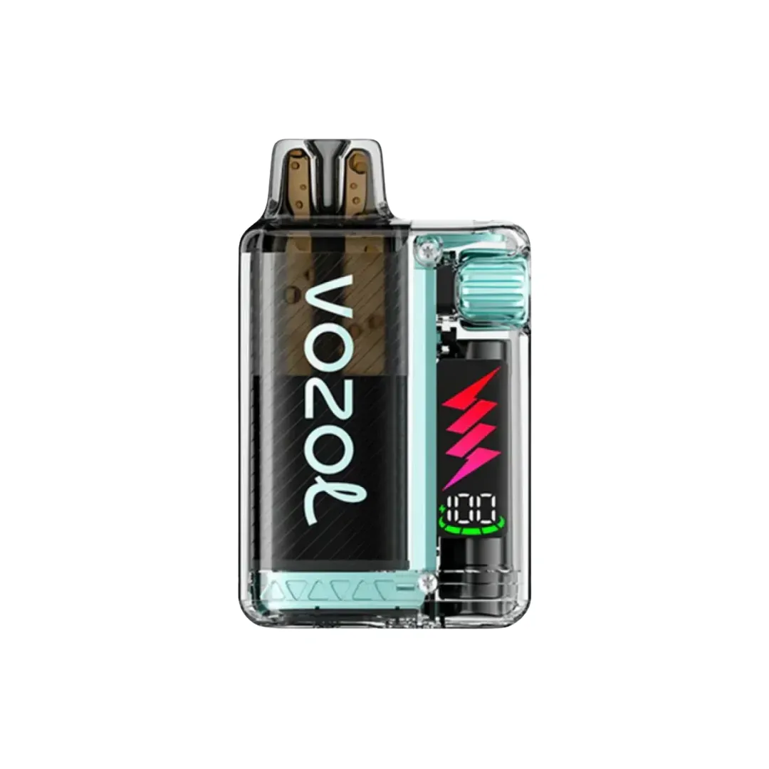 Vozol Vista Plug 10000 Puffs