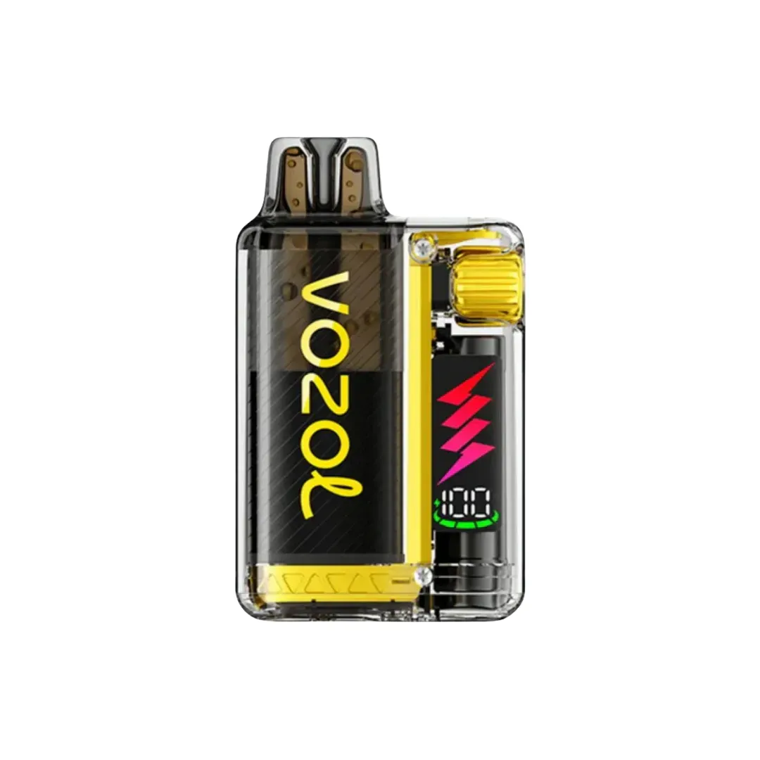 Vozol Vista Plug 10000 Puffs